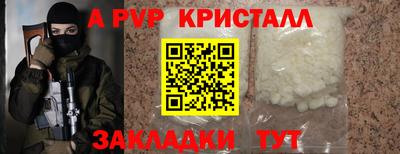 шишки Камышлов