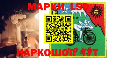 шишки Камышлов