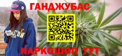 шишки Камышлов