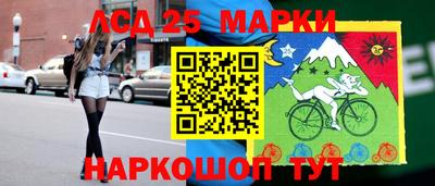 шишки Камышлов