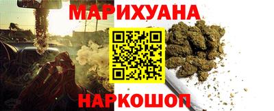 шишки Камышлов
