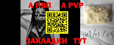 шишки Камышлов