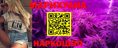 шишки Камышлов