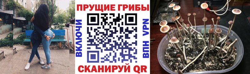 Псилоцибиновые грибы Magic Shrooms  Узловая 