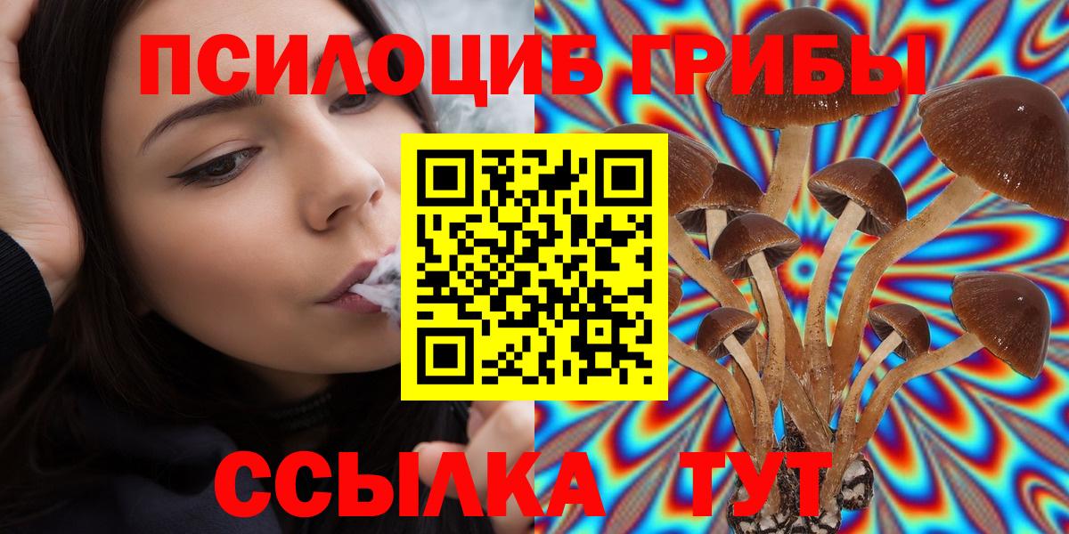 Псилоцибиновые грибы Magic Shrooms  Вход с VPN  Псилоцибиновые грибы MAGIC MUSHROOMS  Узловая 